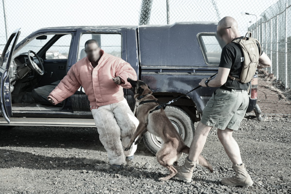K9