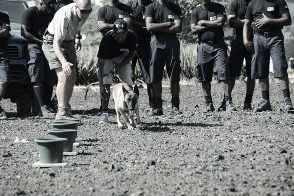 K9