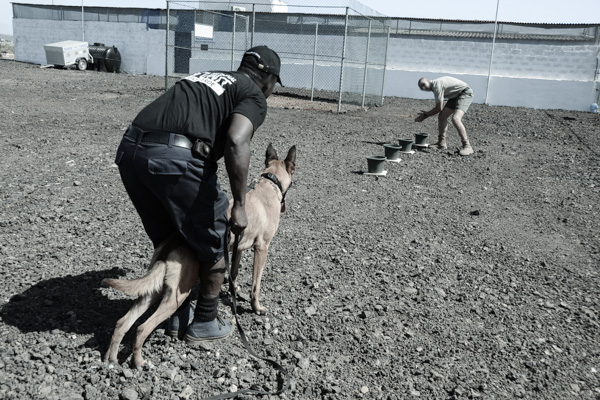 K9