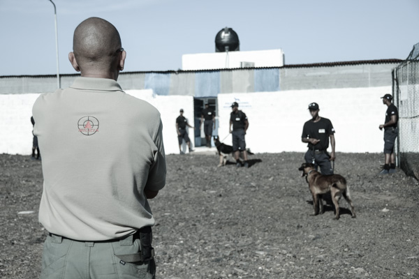 K9