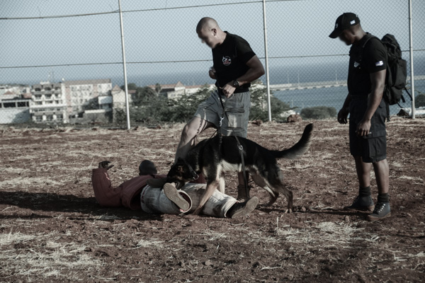 K9