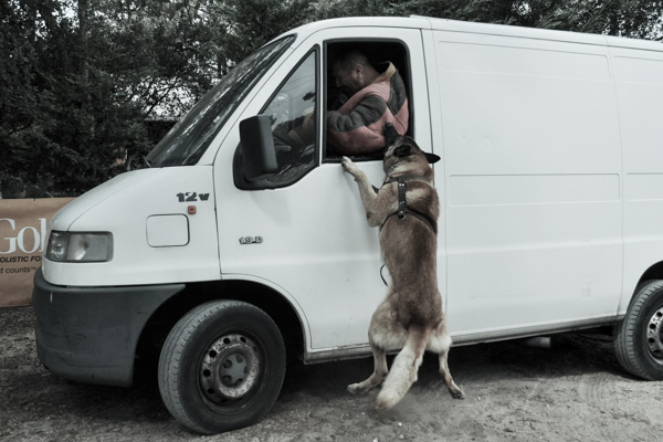 K9