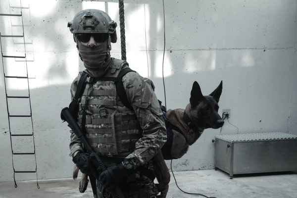 K9