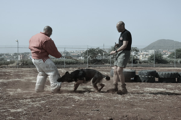 K9