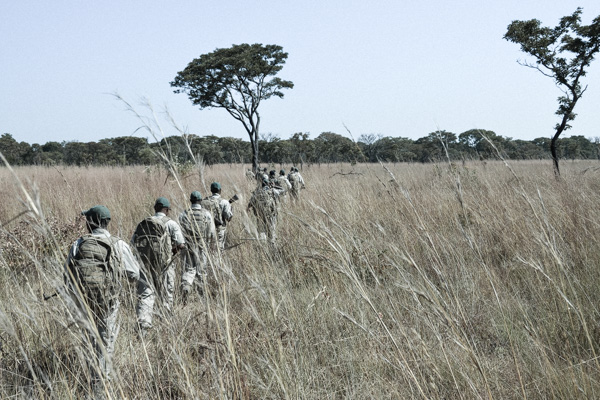 Anti-Poaching