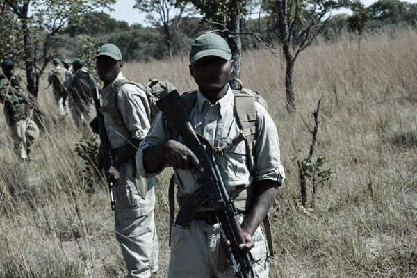 Anti-Poaching